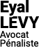 Eyal Levy